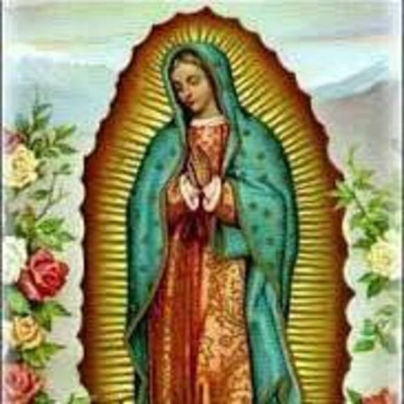 Meet your Posher, Mateo - Picture 1 of 1